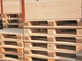 WORLD-Pallet
